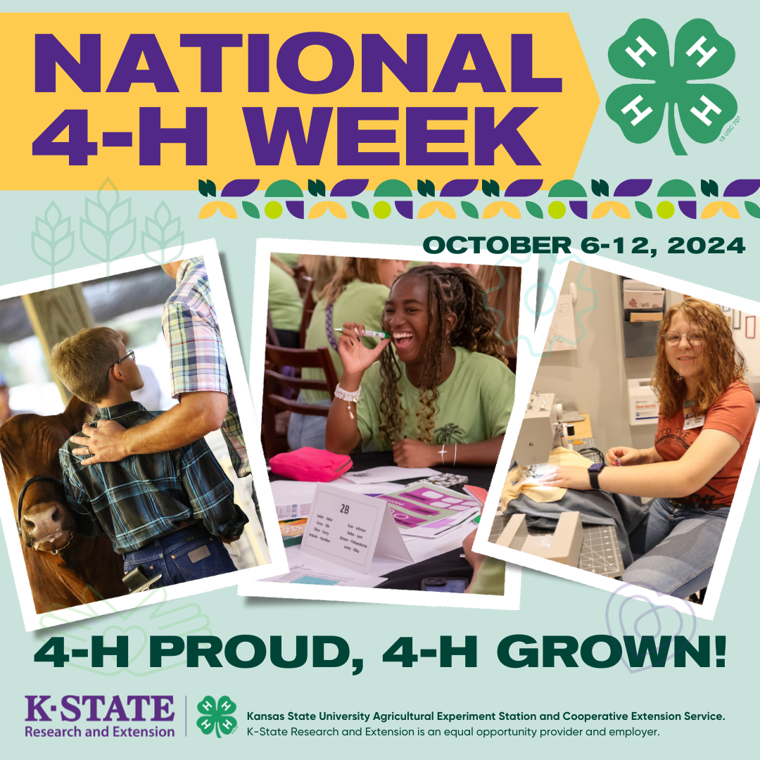 National 4H Week