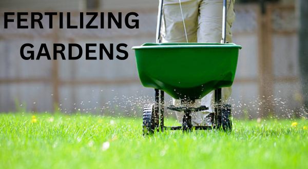 Fertilizing Gardens