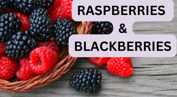 Raspberries & Blackberries